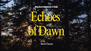 Echoes of Dawn: Bird Chorus in Romania | Recording by Seán Ronayne