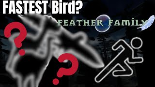 What is the FASTEST BIRD in FEATHER FAMILY? 🏃🦅