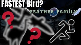 What is the FASTEST BIRD in FEATHER FAMILY? 🏃🦅 screenshot 4