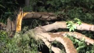 Road Blocked At Upton