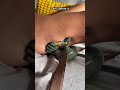 your neck feels tight every day