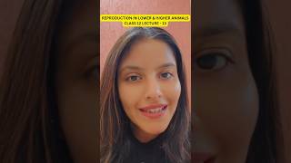 Reproduction in Lower & Higher Animals Class 12 Lec -13 | Radha Mam #hscboard #ytshorts #shorts #hsc
