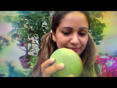 Pamelo | Home Garden | Gardening is my therapy | Nature Lover | KS Garden