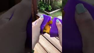 Squish’Ums Pocket Zoo Squishy Animals! #shorts #squishies #asmr #oddlysatisfying #zoo
