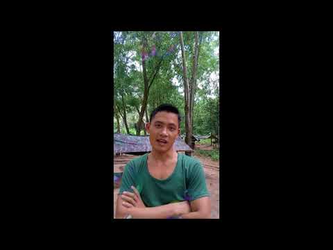 Video Quảng cáo tua du lịch nghĩa vụ quân sự quá bá đạo. Tôi... - youtube