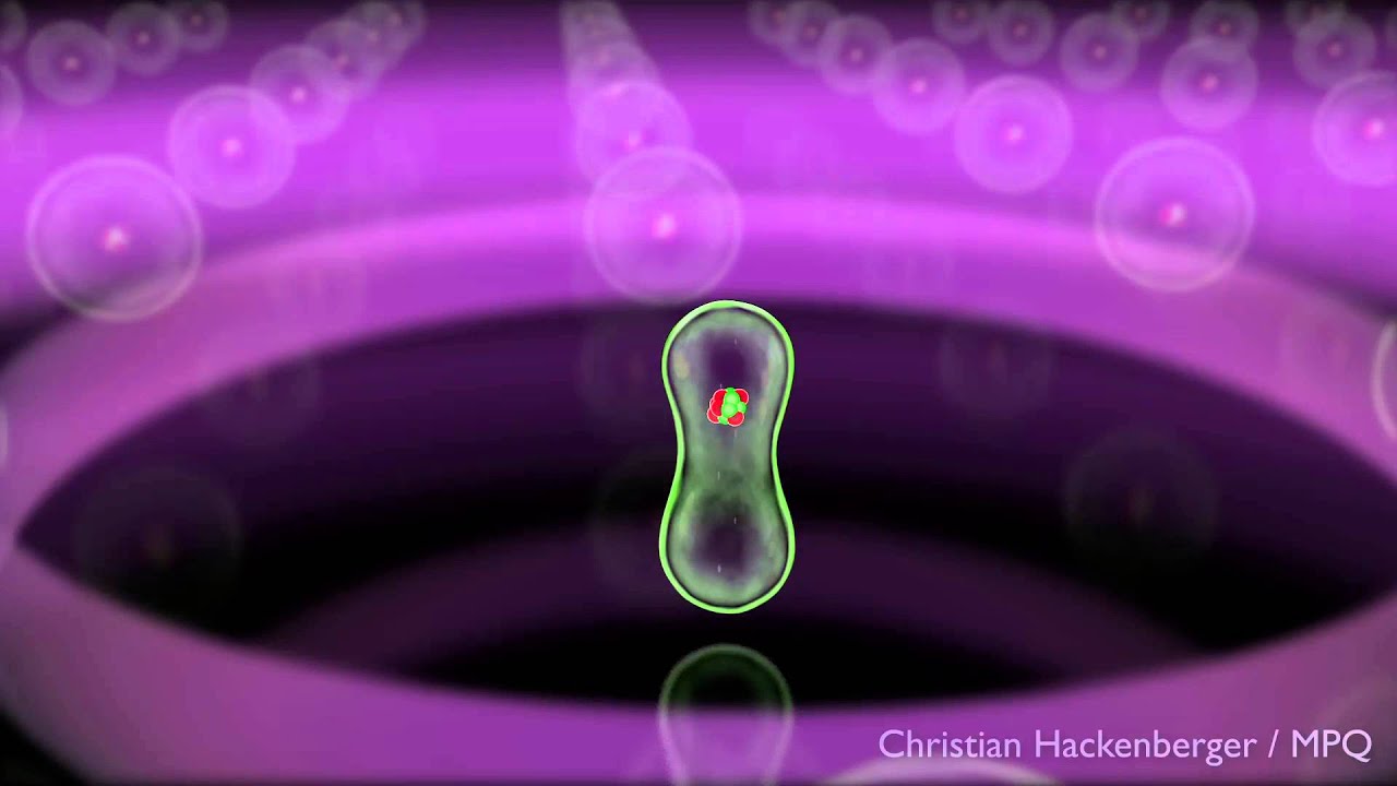 Delayed response of Krypton electrons to light flashes YouTube