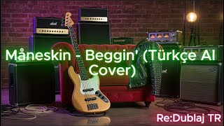 Måneskin - Beggin' (Türkçe AI Cover)