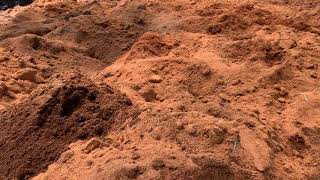 Chỉ cách làm vườn ươm