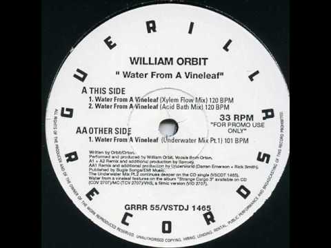 William Orbit - Water From A Vine Leaf (Acid Bath ...