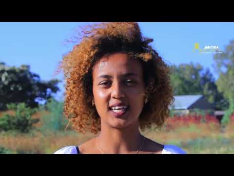 ሜዳ ኣምባሴራ ንምንታይ ተዓፅዩ? ብሱሩ ከይምለስ ዝዓገቶ ሓይሊ ታይ እዩ Ambasera sport November 21, 2023