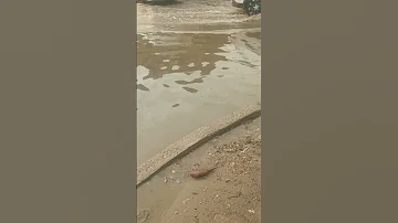 حي الجهاد الرفاق بالقرب من بلدية الرشيد تبعد بضعة امتار عنها 