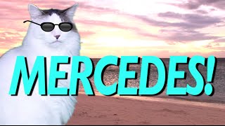 Happy Birthday Mercedes - Epic Cat Happy Birthday Song