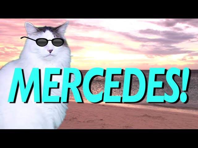 HAPPY BIRTHDAY MERCEDES! - EPIC CAT Happy Birthday Song