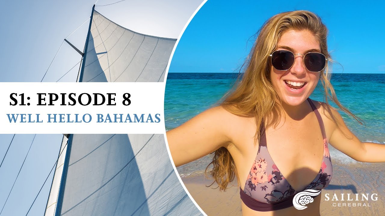 ⁣Ep 8 It's Like a Real Life SeaWorld Experience, Without the Theme Park!