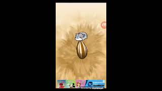 Hamster life introduction 《Game》 screenshot 4