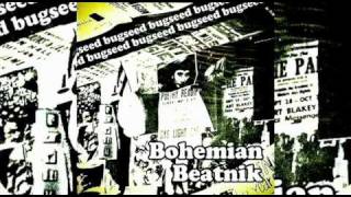 Bugseed - Secret Diplomacy