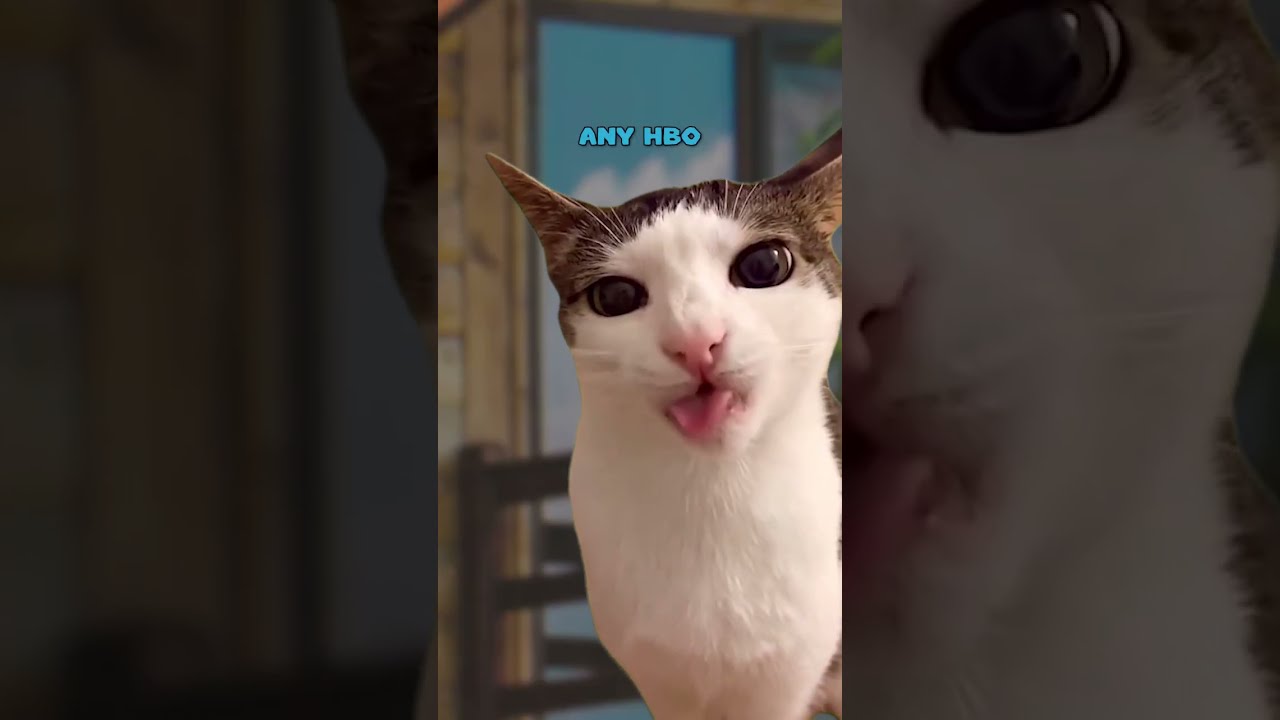 Thoughts To Snap Your Mind In Half PART 8 CAT VERSION Ryanhdlombard Shorts