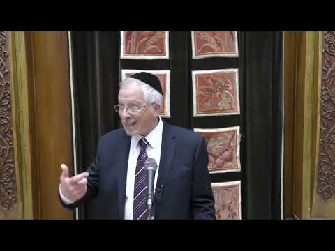 כב הרד מרדכי נויגרשל - כח הדבור - כח החבור ומות הדמוקרטיה _ מטות מסעי תשפ״ג