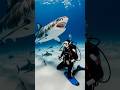 POV: You’re an expert Shark diver when suddenly…#diving #shark #ocean #pov #attack