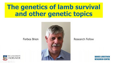Webinar: Genetics of lamb survival