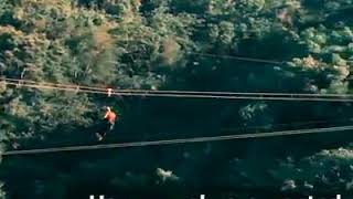 Dominican Tree House Resort Dominican Republic(2)