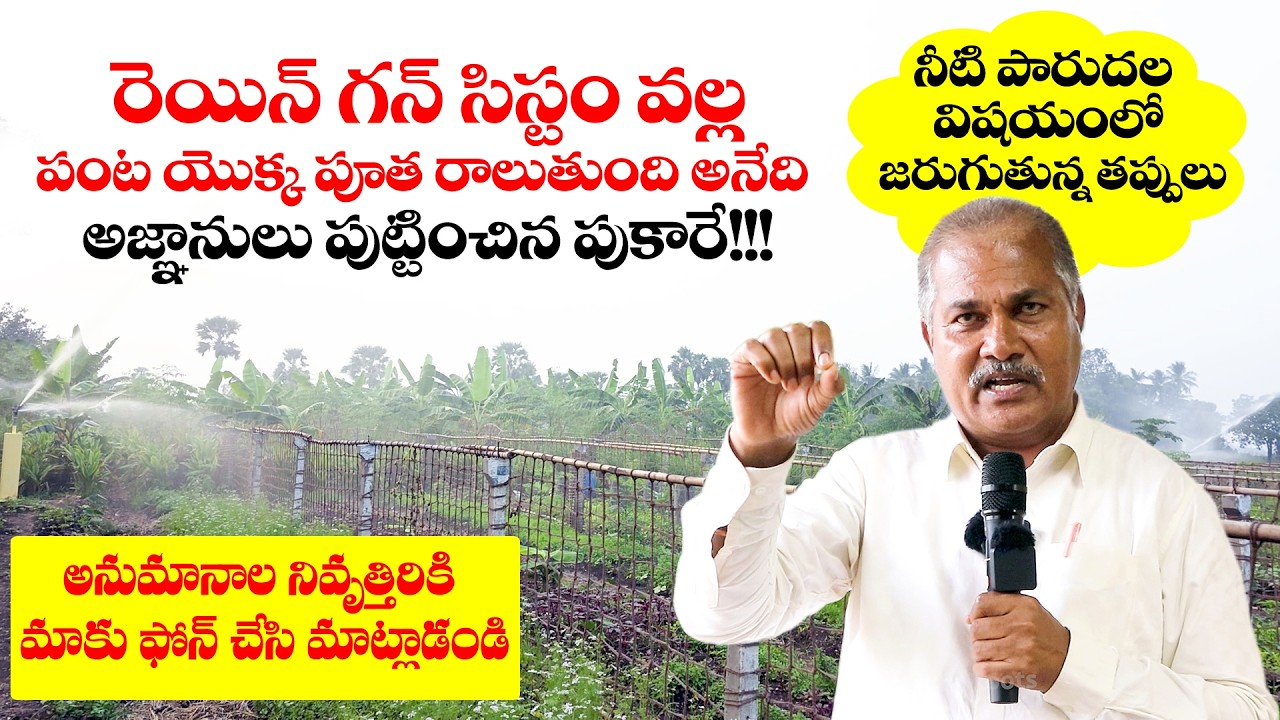 రెయిన్ గన్ సిస్టం వల్ల పంట యొక్క పూత రాలుతుంది అనేది అజ్ఞానులు పుట్టించిన అపోహ ||GV Ramana Reddy
