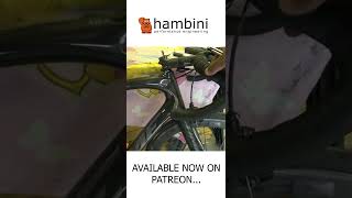 Time Scylon Review shorts