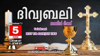 HOLY MASS|LATIN MASS|05 JUNE 2024 |REV FR SANJAY IMS |MALAYALAM QURBANA|TODAY MASS|GOODNESS TV