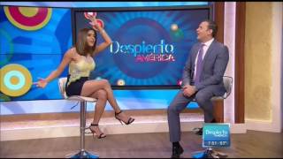 Francisca Lachapel Wow Hot Legs - Despierta America - 071216