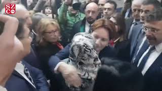 Pakize Anne Hakim Karşısında