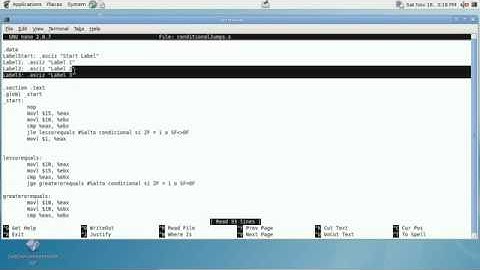 Explotación de Software - Parte V Flujo de ejecución de un programa en Assembly