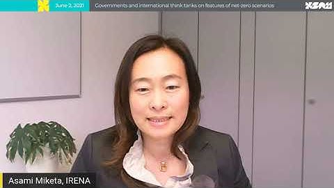 Governments and International Think-Tanks on Features of Net-Zero Scenarios