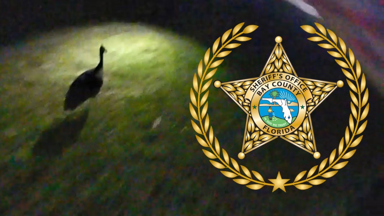 An Escaped Suspects Leads Deputies On A WILD Chase - YouTube
