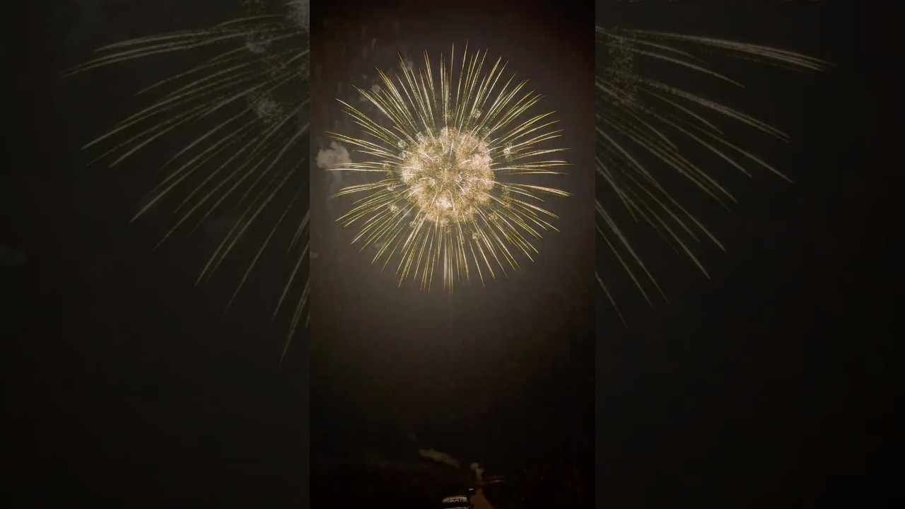 8" inch Brocade Crown to Crackling With Crackling Pistil With Silver Tail 