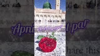 Download Lagu Hara gumbad jo dekhoge zamana bhool jaoge. Beautiful #naat #nasheed #nasheedi #love #Madina 💞💕 MP3 Download Lagu Hara gumbad jo dekhoge zamana bhool jaoge. Beautiful #naat #nasheed #nasheedi #love #Madina 💞💕 MP3