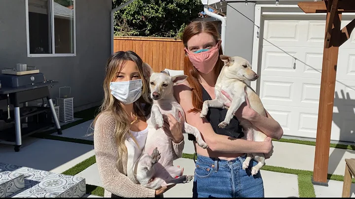 reuniting my dog with her puppy!! (separated at bi...