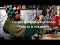 Секреты маленьких колес и локдаун