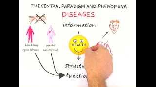 FIRST SERIES: Central paradigm of Molecular Biology and diseases