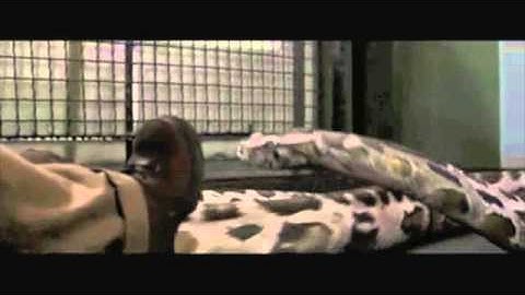 Harry Potter Snake "Thankss"