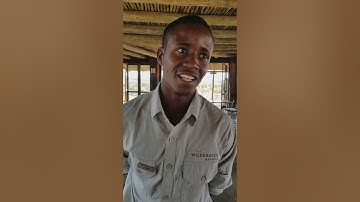 Bushman Click Language