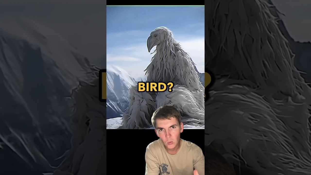 Что такое Luh Clam Fit?