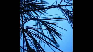 I Do Not Love - That Way Naked 2011