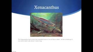 Top 10 Prehistoric Sharks