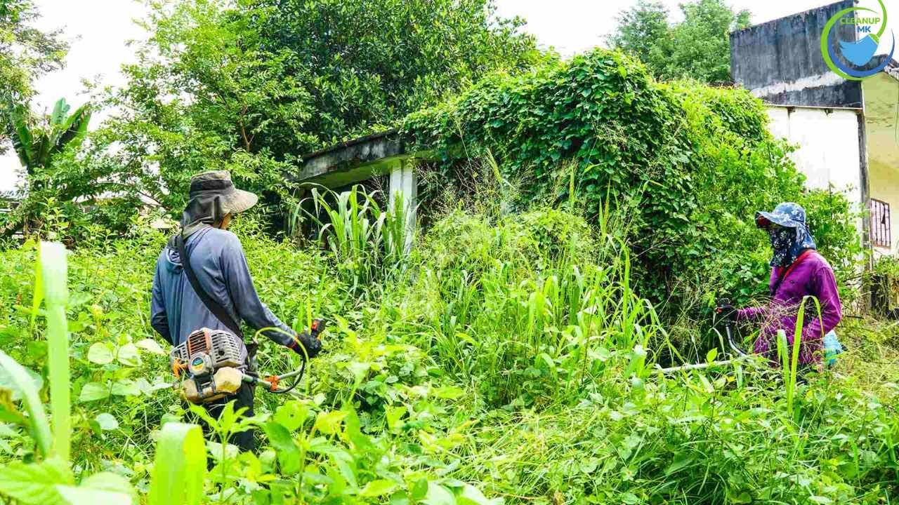 The house trees are OVERGROWN I cut the lawn and cleaned the house to become Brighter | Cleanup MK