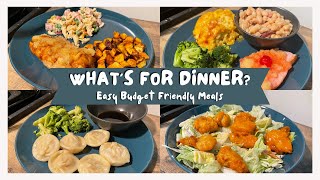 WHAT'S FOR DINNER EASY BUDGET FRIENDLY MEALS | PLUS SO MANY LEFTOVERS
