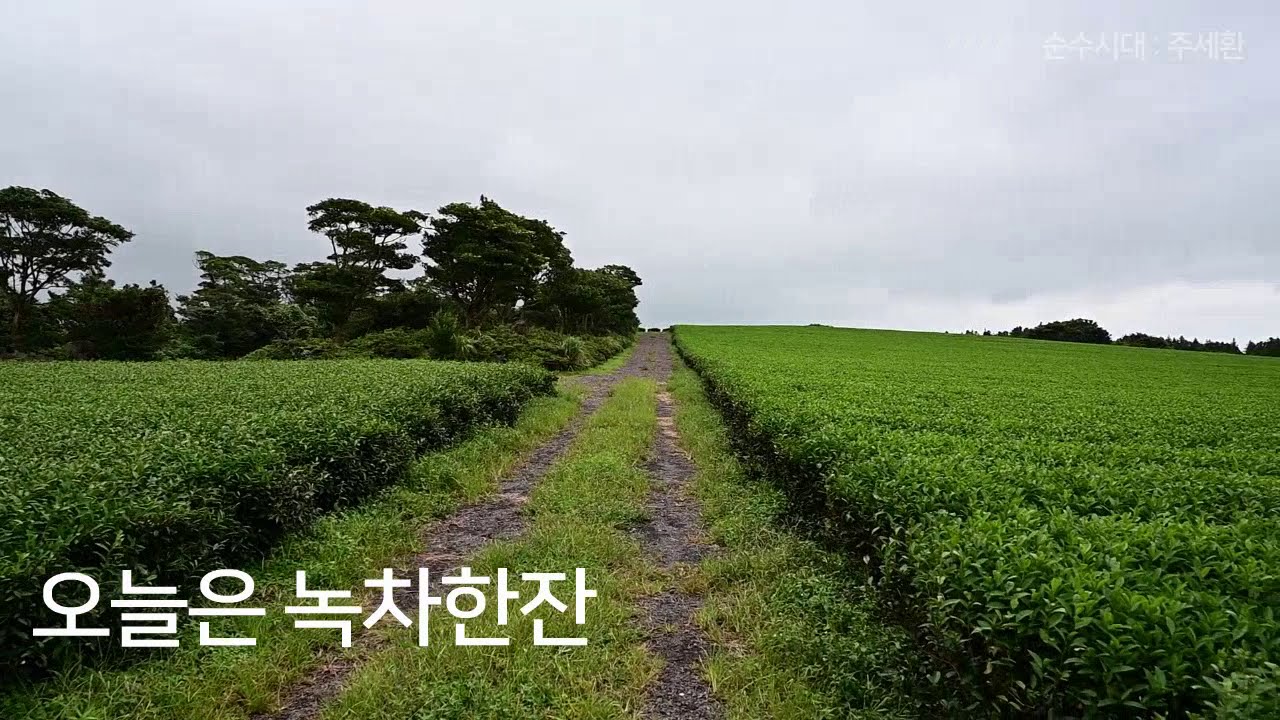 오늘은 녹차한잔