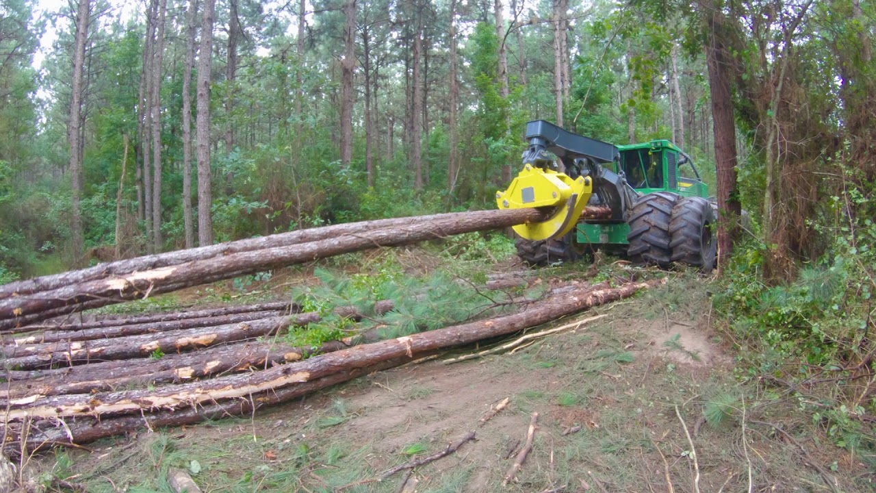 Starting 140 Acres of Second Thinning!