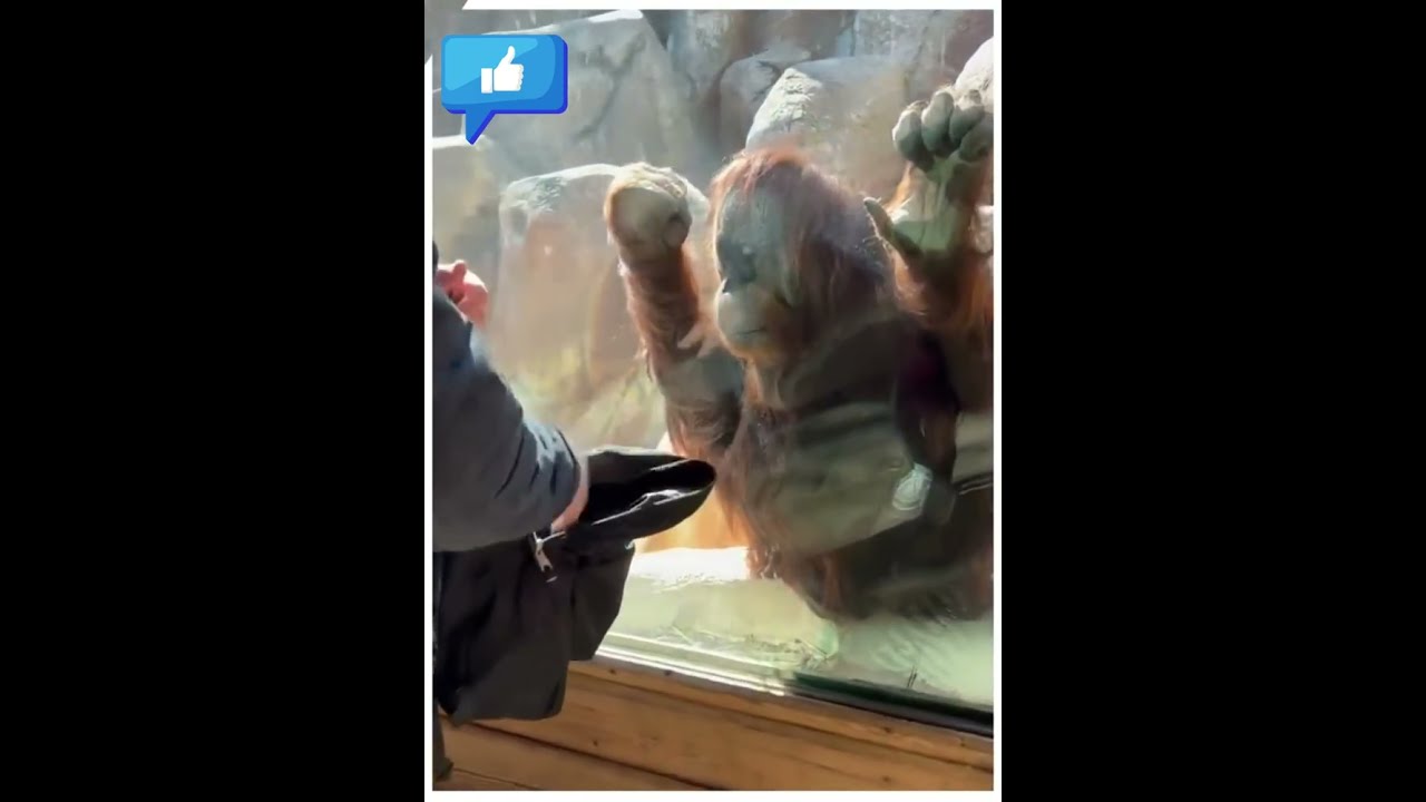 The Ultimate FAIL Compilation – Pain Level: 1000! 🤦‍♂️🔥