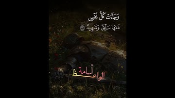 في حال أنك لم تسمع تلاوة أسامة من قبل !. تبارك الرحمن لله درك شيخ أسامة