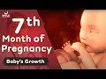 7 month pregnancy baby growth  7 month pregnancy baby movement  mylo family